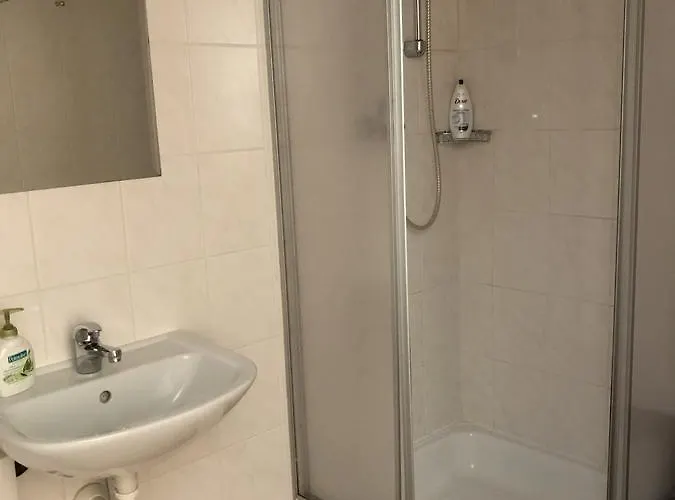 Rosa Malenovice (Moravia-Silesia)